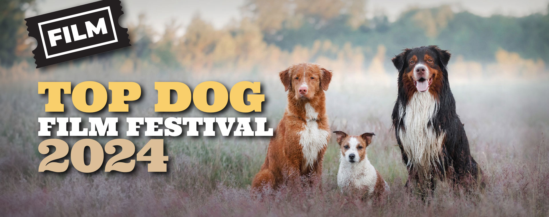 Top Dog Film Festival 2024 3 Aug NSW